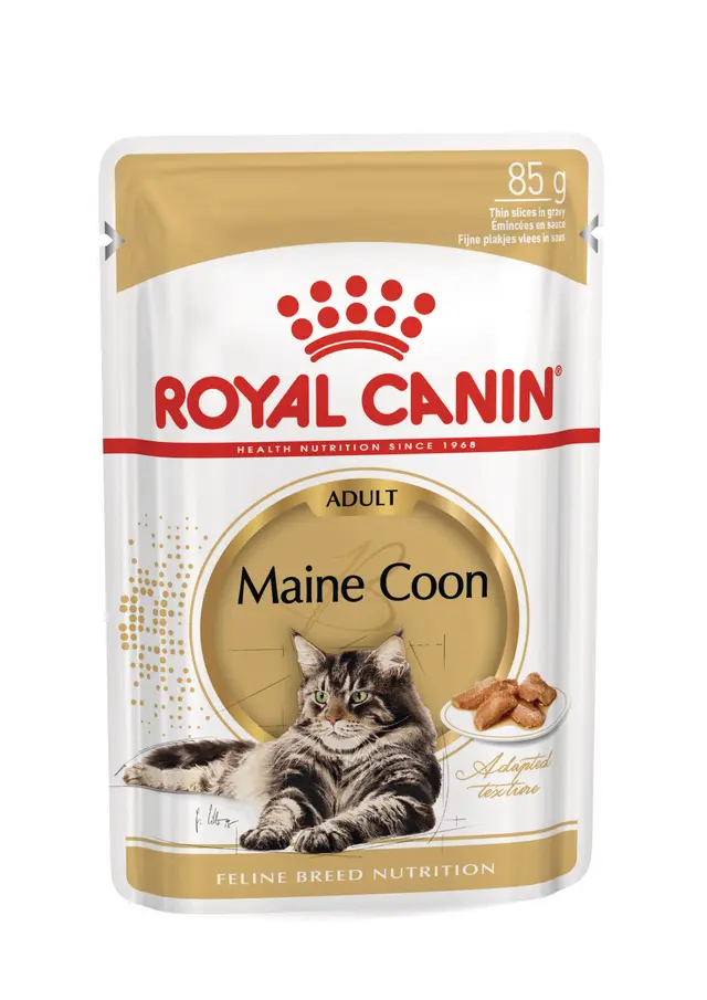 Royal Canin Maine Coon Yetişkin Kedi Yaş Maması