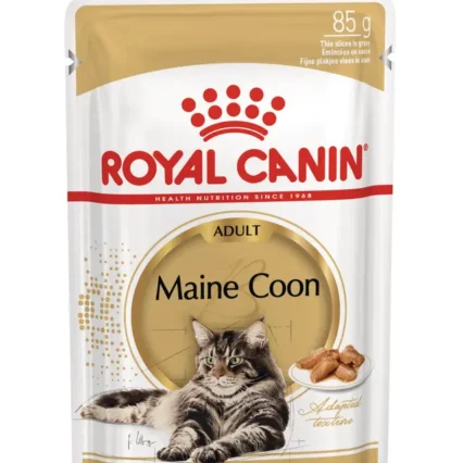 Royal Canin Maine Coon Yetişkin Kedi Yaş Maması