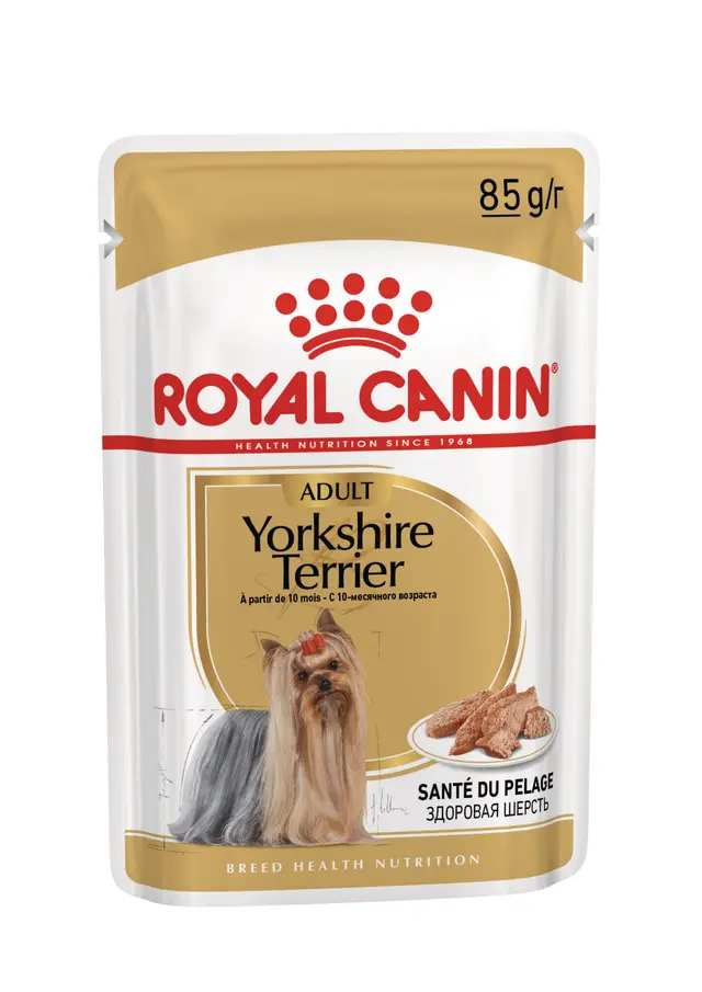 Royal Canin Yorkshire Terrier Yetişkin Köpek Yaş Maması