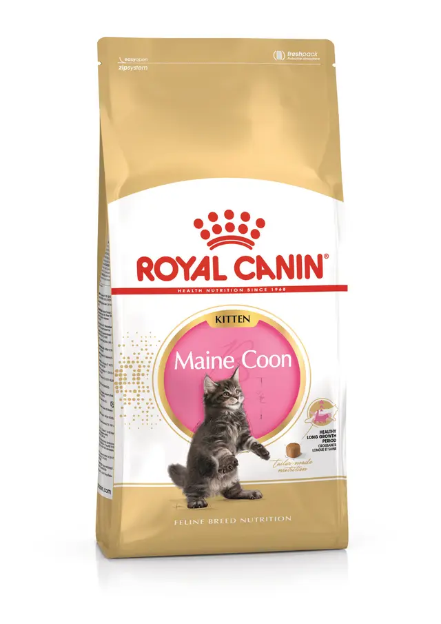 Royal Canin Maine Coon Kitten Yavru Kedi Kuru Maması