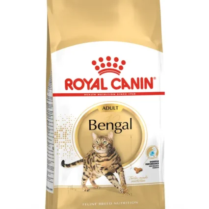 Royal Canin Bengal Adult Yetişkin Kedi Kuru Maması