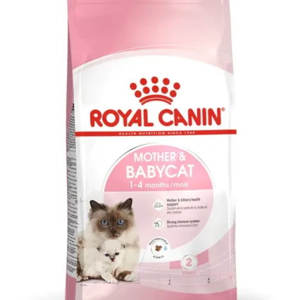 Royal Canin Mother And Babycat Anne ve Yavru Kedi Kuru Maması