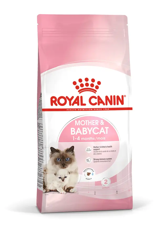 Royal Canin Mother And Babycat Anne ve Yavru Kedi Kuru Maması
