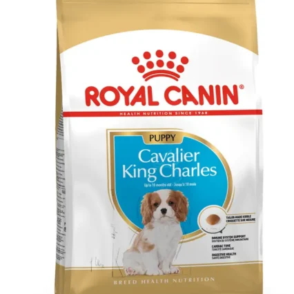 Royal Canin Cavalier King Charles Puppy Yavru Köpek Kuru Maması