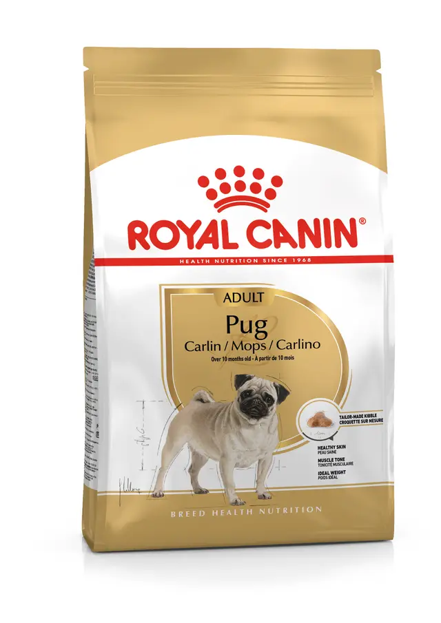 Royal Canin Pug Adult Yetişkin Köpek Kuru Maması