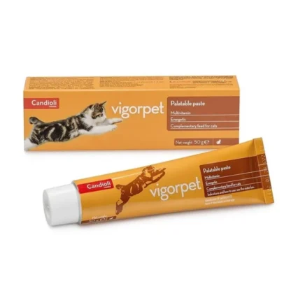 Candioli Vigorpet Pasta