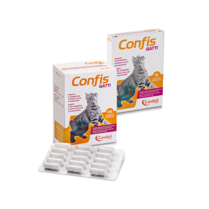 Candioli Confis