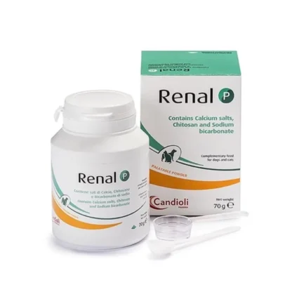 Candioli Renal P
