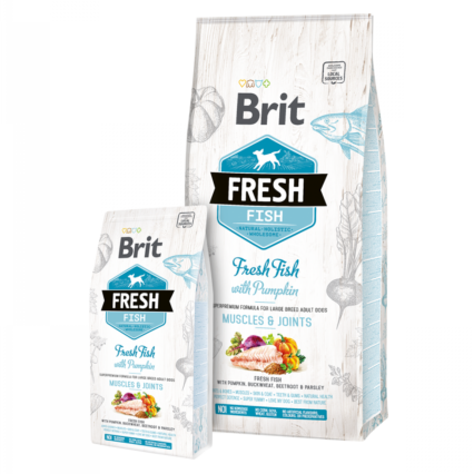 Brit Care Fresh Balık&Balkabağı Large Yetişkin Köpek Kuru Maması