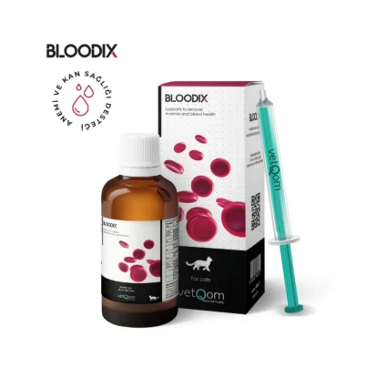 VetQom Bloodix Kedi – Anemi ve Kan Sağlığı