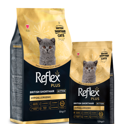 Reflex Plus British Shorthair Yavru Kedi Kuru Maması