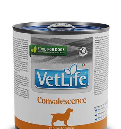 Farmina Vet Life Convalescence Konserve Köpek Maması
