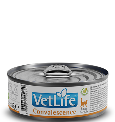 Farmina Vet Life Convalescence Kedi Konserve Maması