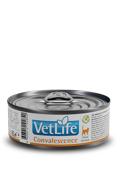 Farmina Vet Life Convalescence Kedi Konserve Maması