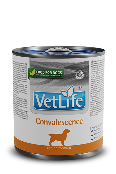 Farmina Vet Life Convalescence Konserve Köpek Maması