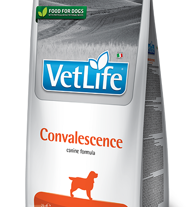 Farmina Vet Life Convalescence Köpek Kuru Maması