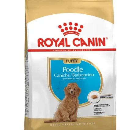 Royal Canin Poodle Puppy Yavru Köpek Kuru Maması