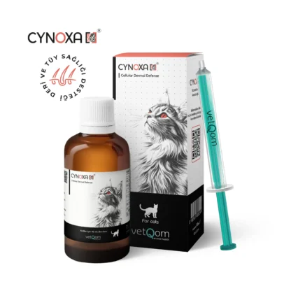 VetQom Cynoxa Kedi - Coat Perfect – Deri ve Tüy Sağlığı