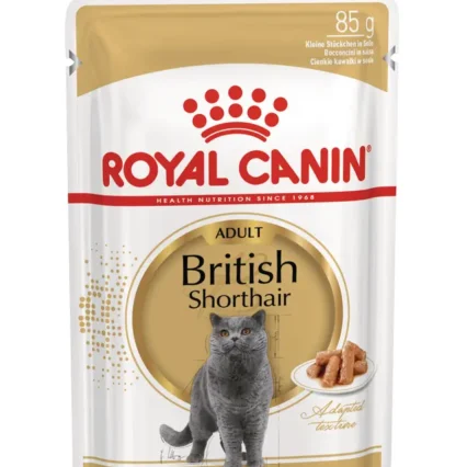 Royal Canin British Shorthair Yetişkin Kedi Yaş Maması