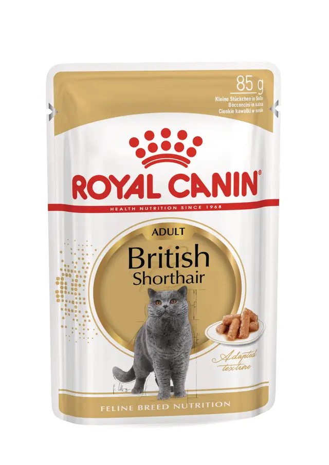 Royal Canin British Shorthair Yetişkin Kedi Yaş Maması