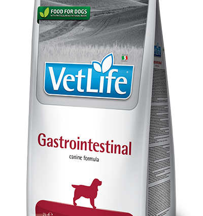 Farmina Vet Life Gastrointestinal Köpek Kuru Maması