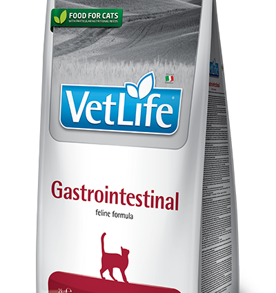 Farmina Vet Life Gastrointestinal Kedi Kuru Maması