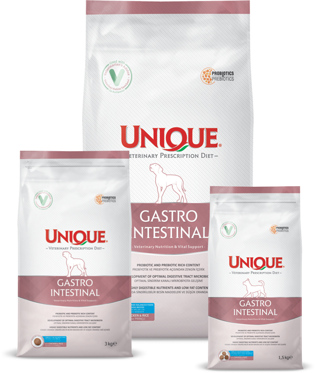 Unique Gastrointestinal Köpek Kuru Maması