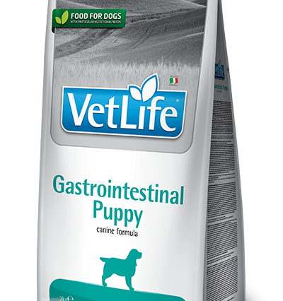 Farmina Vet Life Gastrointestinal Puppy Köpek Kuru Maması