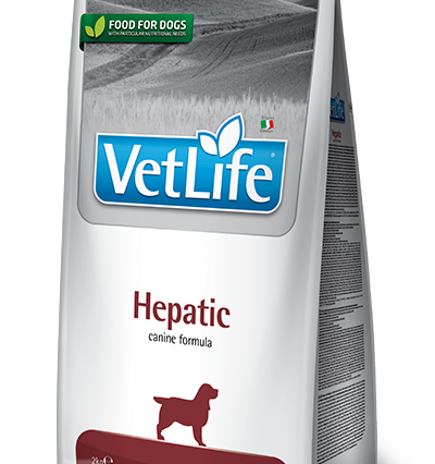 Farmina Vet Life Hepatic Köpek Kuru Maması