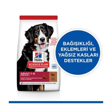 Hills Large Breed İri Irk Kuzulu Köpek Maması 12