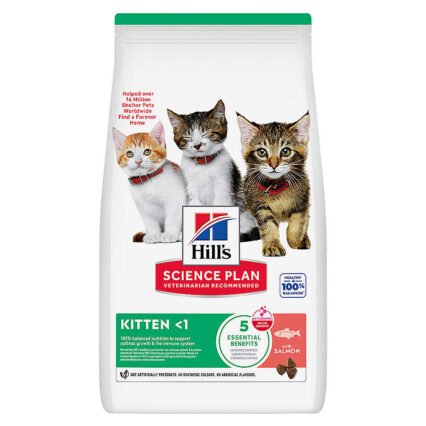 Hills Kitten Somonlu Yavru Kedi Maması 5kg