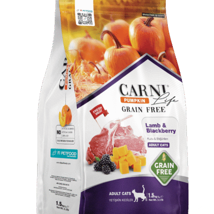 Carni Life Pumpkin Tahılsız Kuzu & Böğürtlen Yetişkin Kedi Kuru Maması
