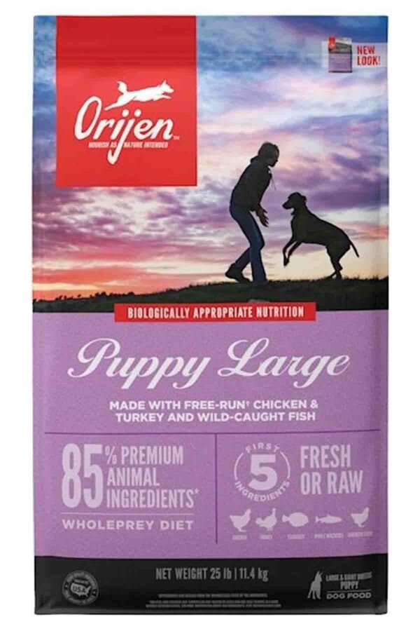 Orijen Puppy Large Tahılsız Büyük Irk Yavru Köpek Maması