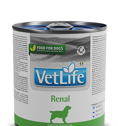 Farmina Vet Life Renal Konserve Köpek Maması