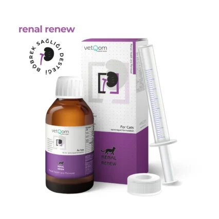 VetQom Kedi Renal Renew – Böbrek Sağlığı