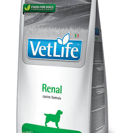 Farmina Vet Life Renal Köpek Kuru Maması