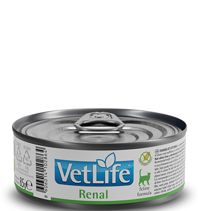 Farmina Vet Life Renal Kedi Konserve Maması