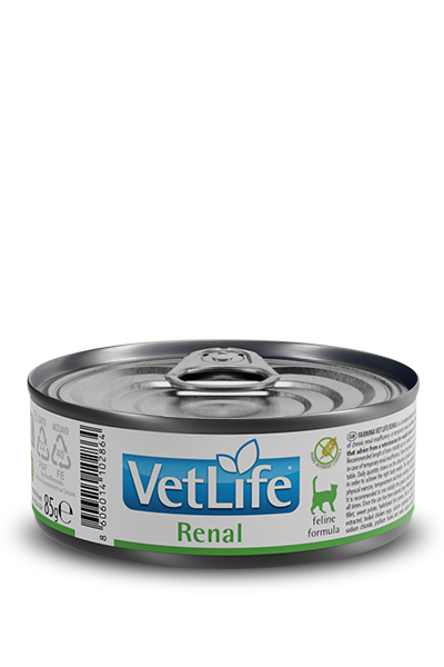 Farmina Vet Life Renal Kedi Konserve Maması