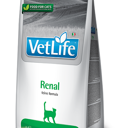 Farmina Vet Life Renal Kedi Kuru Maması