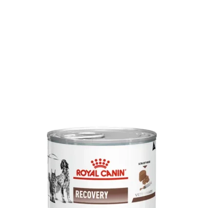 Royal Canin Recovery