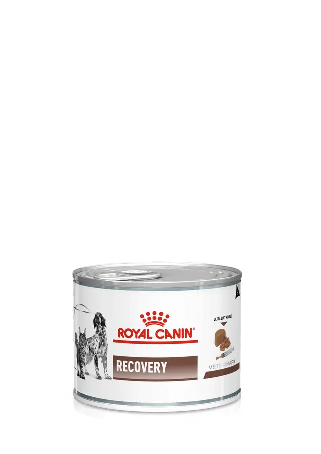 Royal Canin Recovery