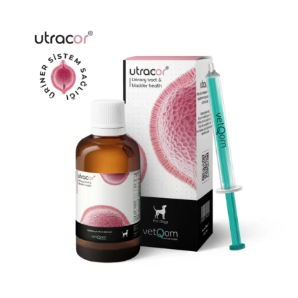 VetQom Utracor Köpek – Üriner Sistem Sağlığı