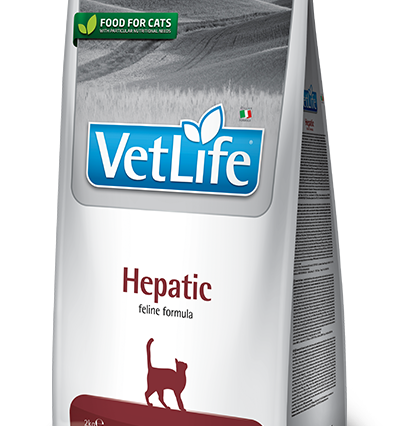 Farmina Vet Life Hepatic Kedi Kuru Maması