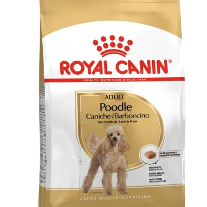 Royal Canin Poodle Adult Yetişkin Köpek Kuru Maması