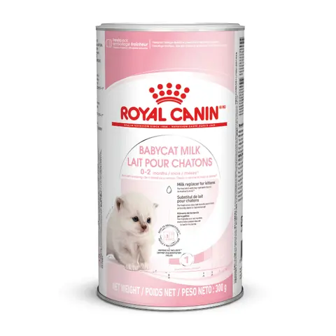 Royal Canin Babycat Milk Yavru Kedi Süt Tozu 300g